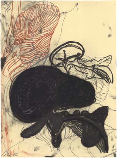 Terry Winters, Untitled (Brooklyn Academy), 1986