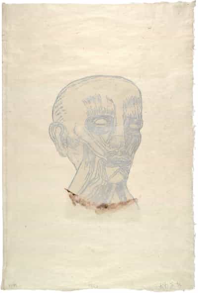 Kiki Smith, Untitled (Head)(Foundation Print), 1995